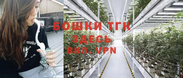 MESCALINE Осинники