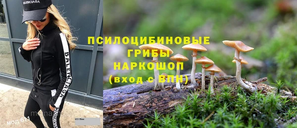 ECSTASY Нефтекумск