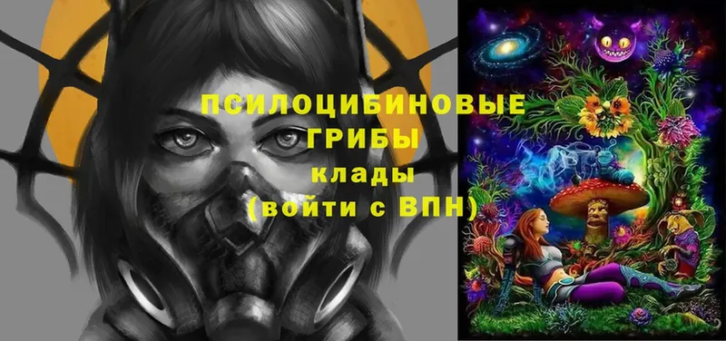 Псилоцибиновые грибы мухоморы  Кимры 