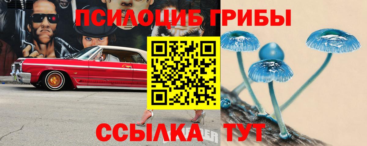 Псилоцибиновые грибы GOLDEN TEACHER Кимры