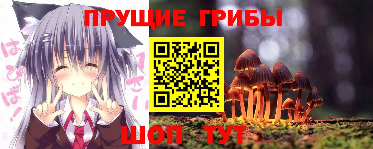 Галлюциногенные грибы прущие грибы  Галлюциногенные грибы Magic Shrooms  Кимры 