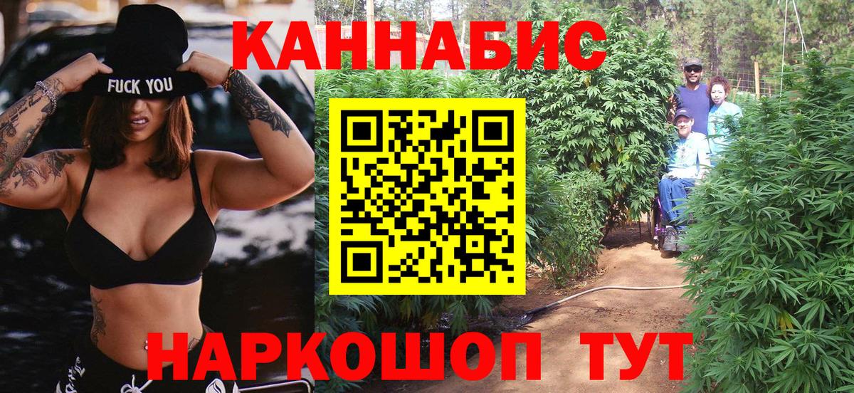 Бошки марихуана OG Kush  Каннабис OG Kush  Шишки марихуана конопля  Кимры  Марихуана планчик 